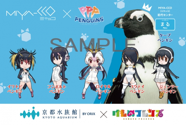 京都水族館アイドルペンギンユニット「MIYA-CCO」とけものフレンズ「PPP」がコラボ！来館者にはコラボ限定デザインポストカードを配布！