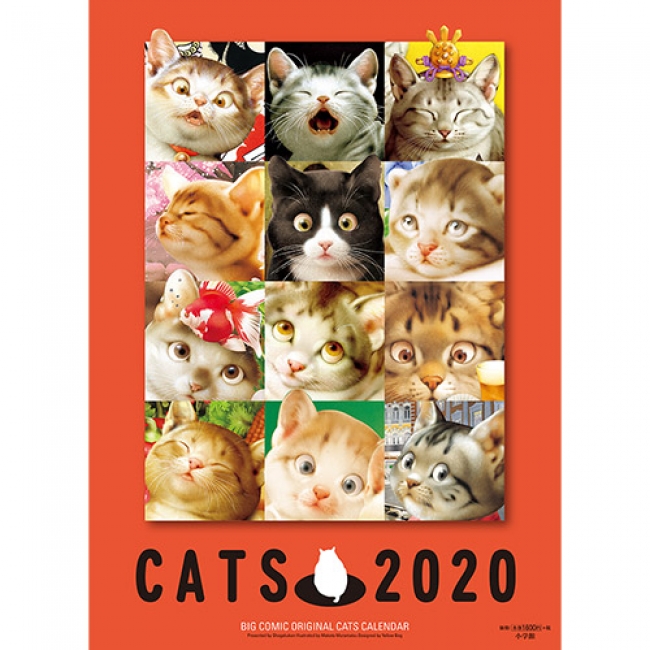 村松誠　2020年版　猫カレンダー　©MAKOTO MURAMATSU・SHOGAKUKAN