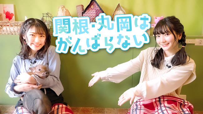 ミニアニメ「ぷっちみく♪ D4DJ Petit Mix」4月30日(金)放送・第13話の先行場面カット公開！