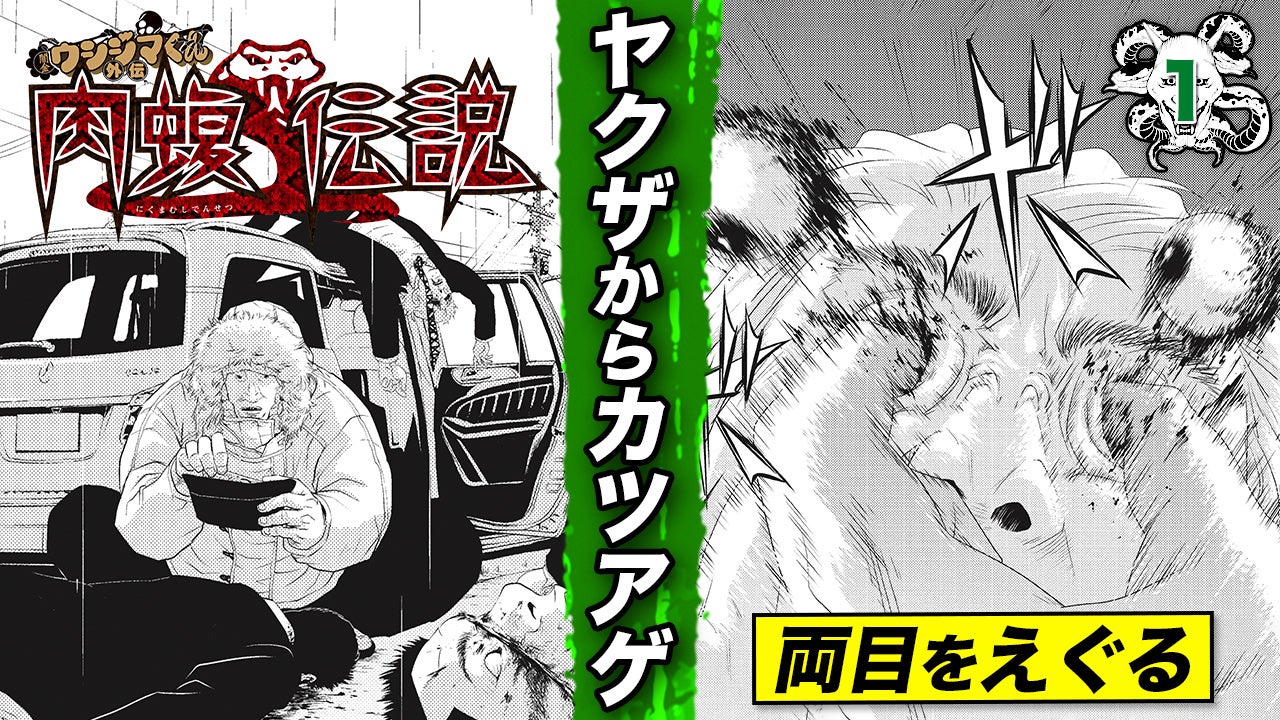 TVアニメ「八十亀ちゃんかんさつにっき 4さつめ」の放送局・放送日時が決定！4期開始を記念したクラウドファンディングも初開催！