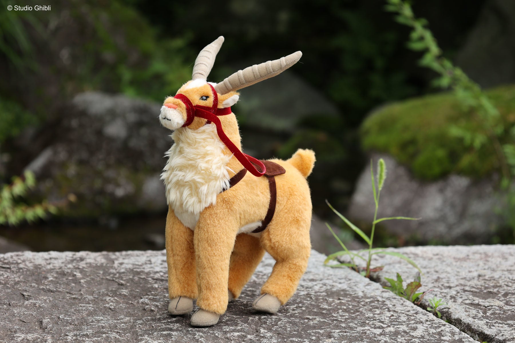 人気イラストレーター・世津田スンとmonogatary.comによるTVアニメがCBCテレビで放送決定!