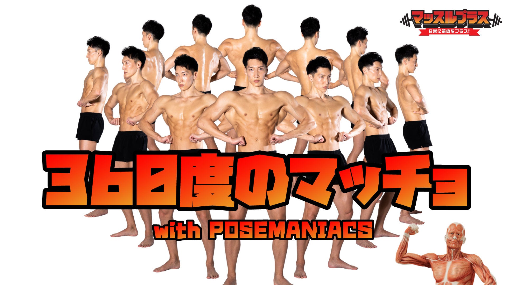 【クリエイター必見】3Dデジタルモデルの「POSEMANIACS」とリアル筋肉素材の「マッスルプラス」がコラボ！全方位から見られるポーズ写真「360度のマッチョ」を公開中