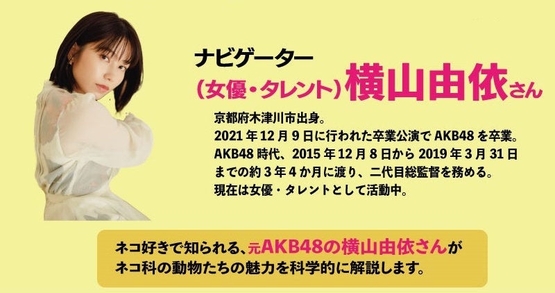 特別展「ネコ」～にゃんと！クールなハンターたち～いよいよ来週、7月15日（土）名古屋市科学館で開幕！ ナビゲーターにネコが大好き・横山由依さん（元AKB48）決定！