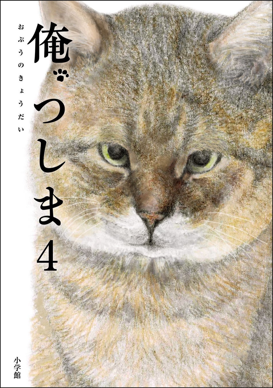 累計50万部突破のリアル猫漫画、『俺、つしま４』2024年4月24日発売決定！ 3年ぶり待望の最新刊！！