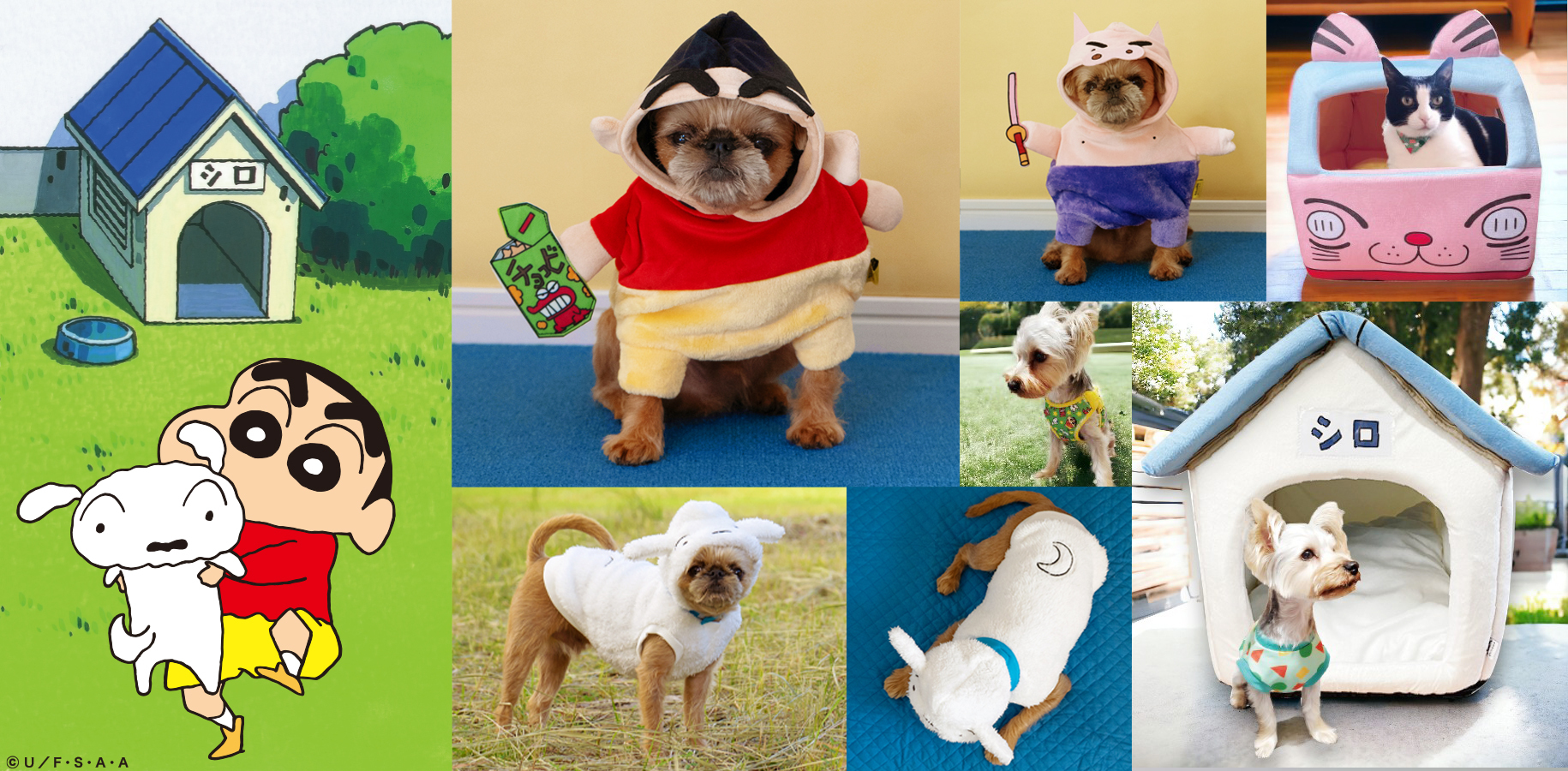 日本最大級のペットイベント「第13回インターペット」に出展　
愛犬とリンクコーデできる人気アニメキャラTシャツなど展示