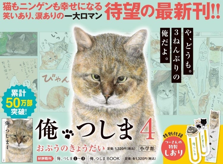 累計50万部突破のリアル猫漫画、『俺、つしま４』3年ぶり待望の最新刊が本日発売！！