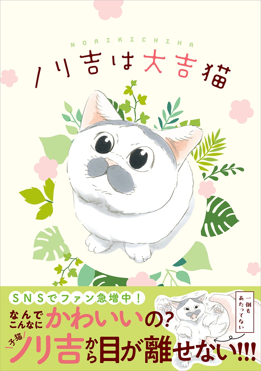 「拾い猫のモチャ」シリーズの著者が贈る、笑えて癒される猫漫画！『ノリ吉は大吉猫』が2024年5月22日（水）発売！