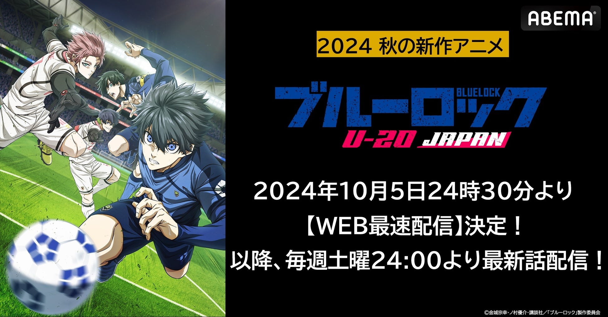 伝説的アニメ『哀しみのベラドンナ』原画復元計画、クラウドファンディングで原画復元の資金調達を開始