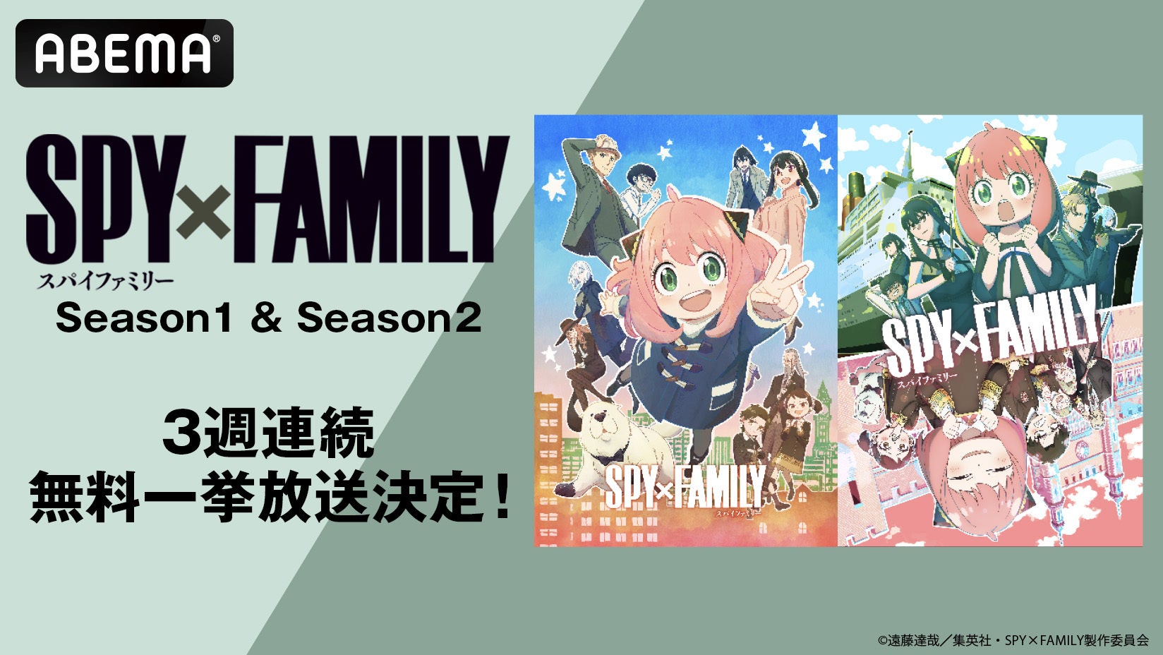 大人気スパイアクションコメディ『SPY×FAMILY』全37話、「ABEMA」で無料一挙放送決定！11月11日（月）より3週連続で順次無料一挙放送！