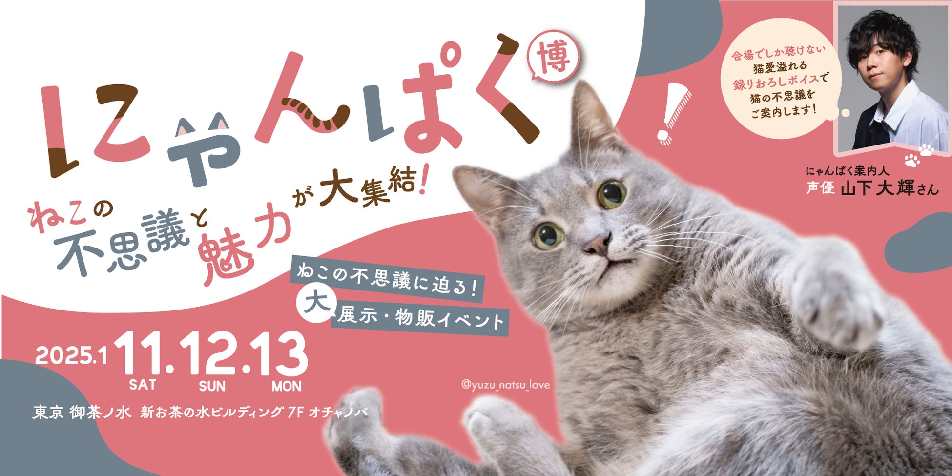 2025年1月11日（土）～13日（月・祝）の3連休、猫の不思議をひも解く新春大型イベント 「ねこ検定presents にゃんぱく2025」開催決定！