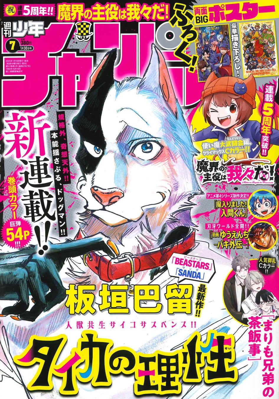 1 月16日(木)発売の週刊少年チャンピオン7号は冬の新連載攻勢第2弾!!板垣巴留最新作「タイカの理性」表紙＆巻頭カラー!!