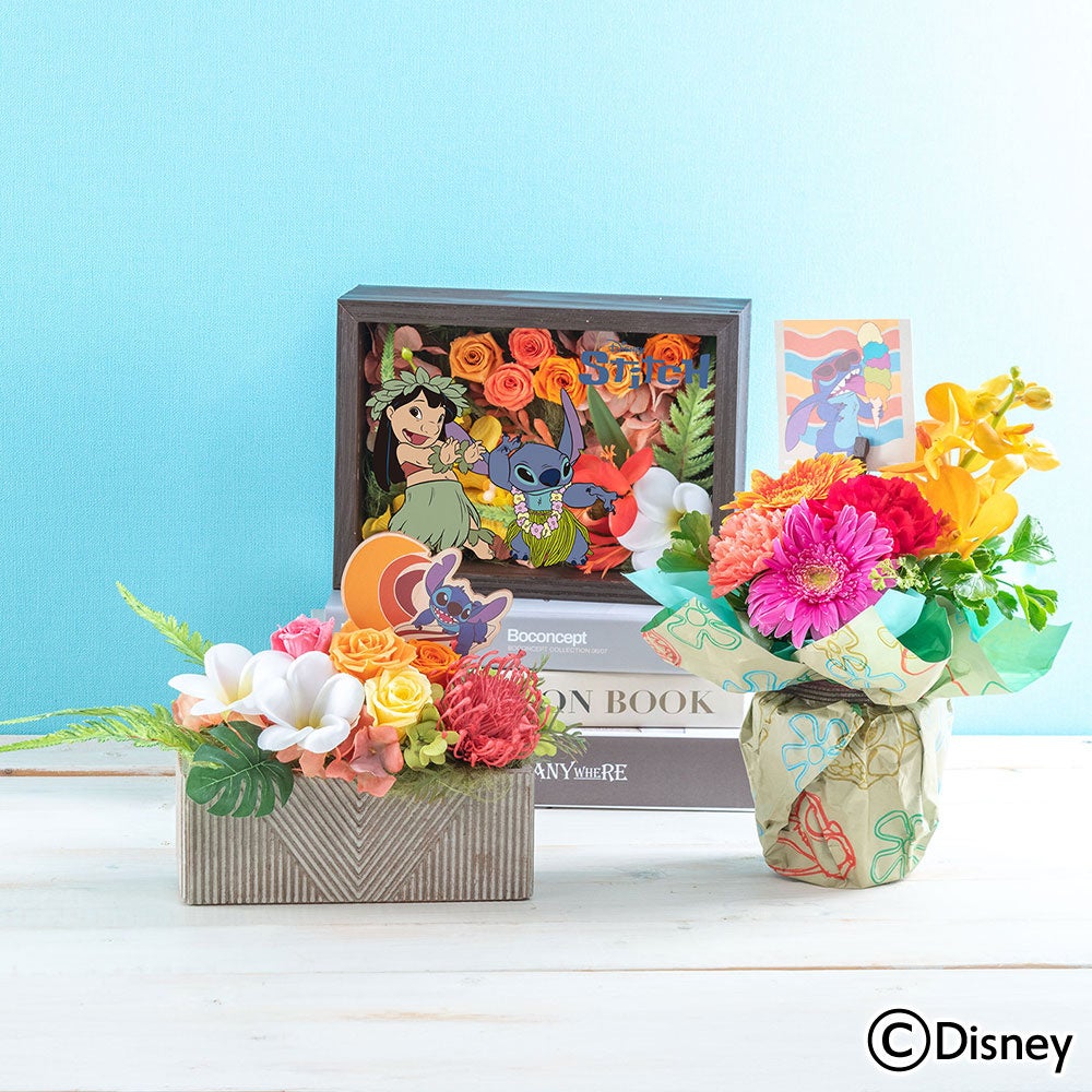 おめめぱっちりの抱きしめたくなる”ぷち”サイズぬいぐるみシリーズ「ぷちっしゅ！」に「Ave Mujica」が2025年5月23日(金)より順次登場！