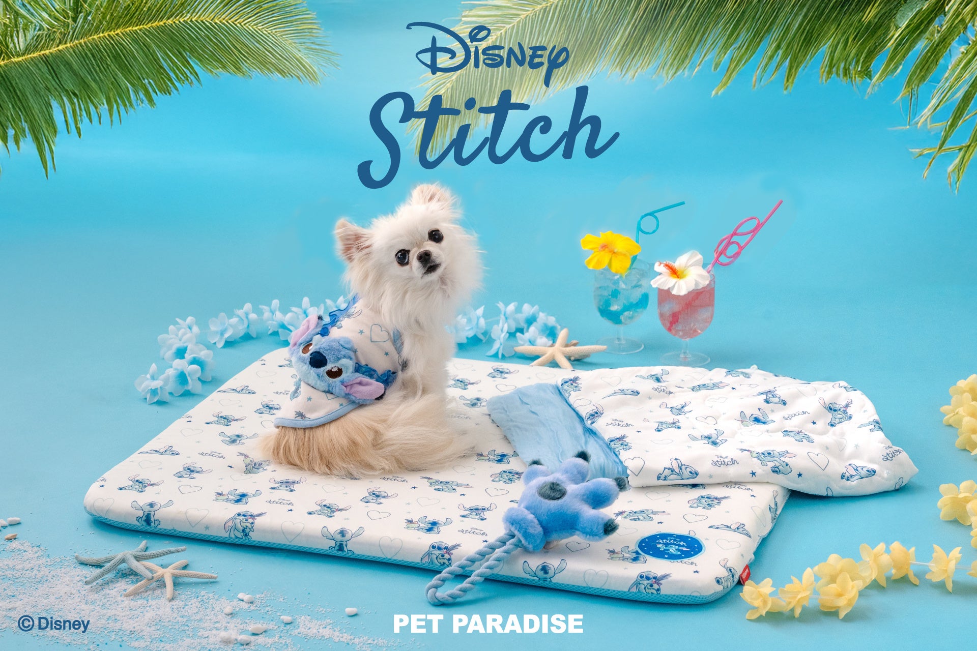 『プリキュア』シリーズ新アニメーション「ぷちきゅあ～Precure Fairies～」初のコラボレーションカフェ「ぷちきゅあはじめてかふぇ」心斎橋・名古屋PARCOで巡回開催‼