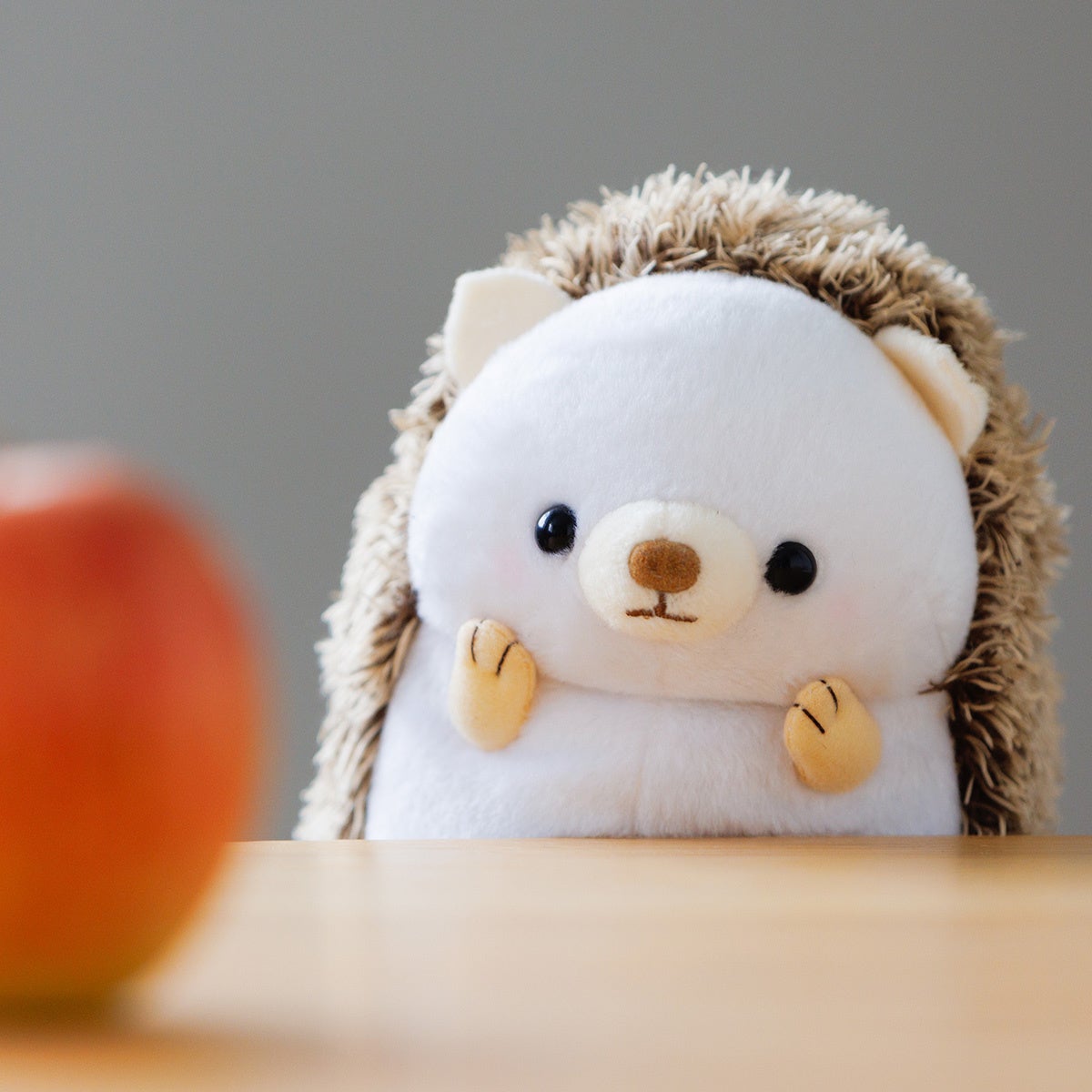 エルフ姉妹から厳しい（？）視線を向けられて――!? GCノベルズ『ご主人様とゆく異世界サバイバル！ 9』5月30日発売！