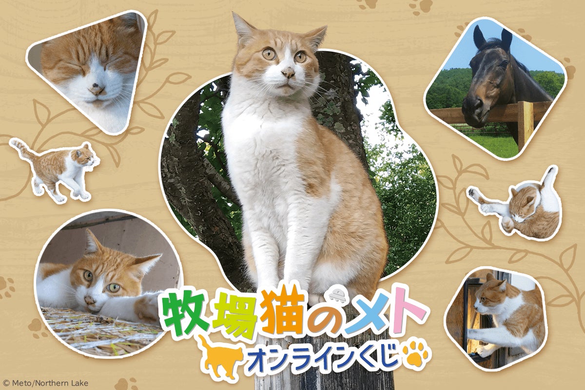 ドランクドラゴン・鈴木拓さん、水瀬紗彩耶さんをはじめとする豪華キャストが勢揃い！peep原作マンガ『復讐パパ 〜イジメ・リベンジャー〜』がショートドラマ化！