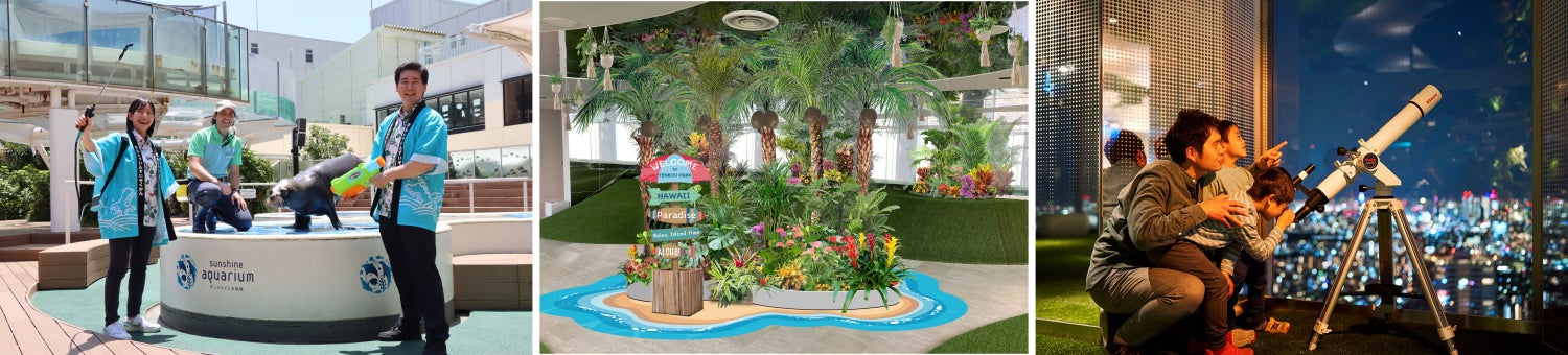 昨年に続き猛暑が予想される2025年夏涼しい屋内で、暑さを避けた夜にも楽しめるイベント盛りだくさん！＜サンシャインシティの夏イベント2025＞自由研究にも最適