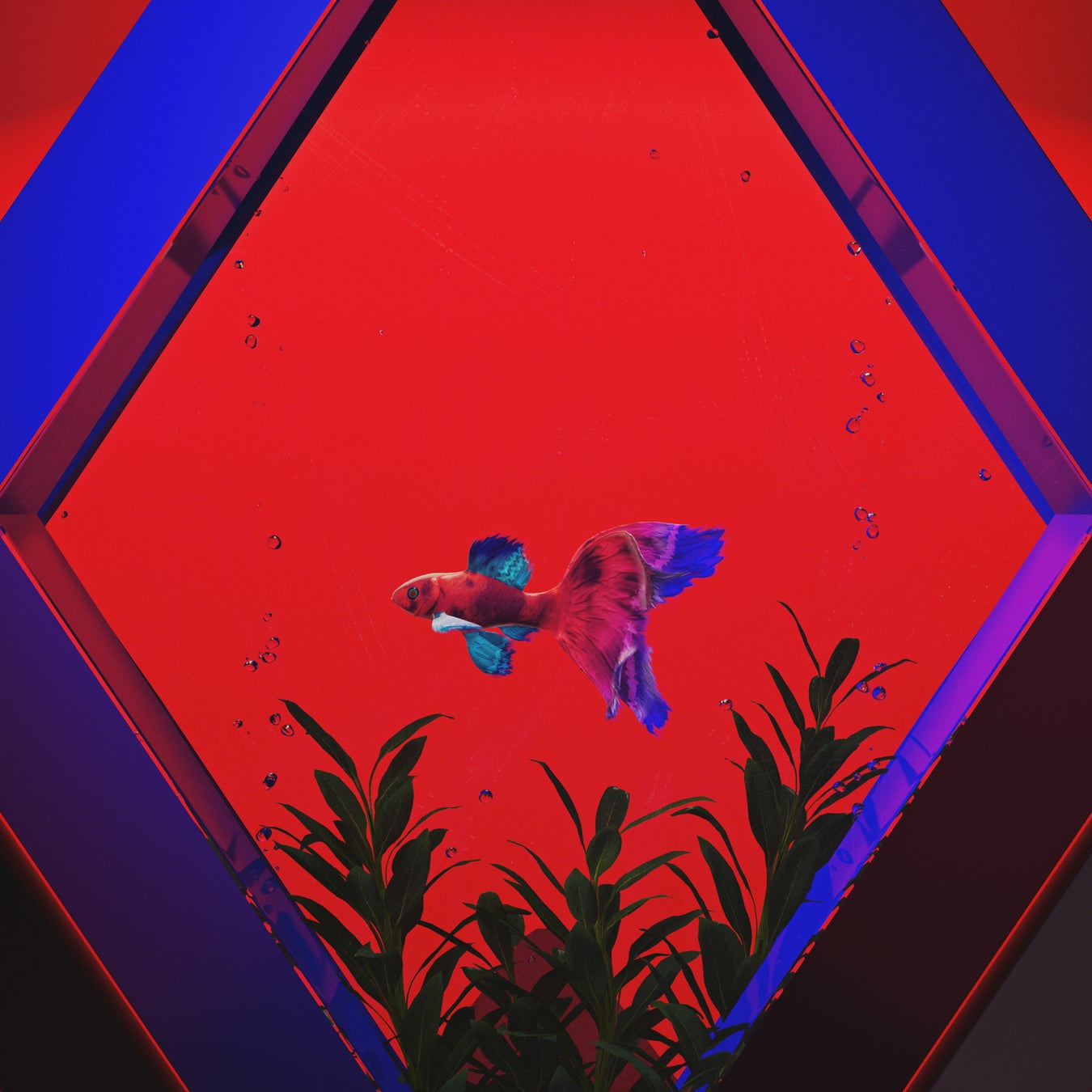 復讐と愛憎が交錯する人間ドラマ、ついにクライマックス‼ 人気電子コミック『お前を殺るまで何度でも』待望の合冊版3巻がコミックシーモアにて2025年7月30日先行配信開始！