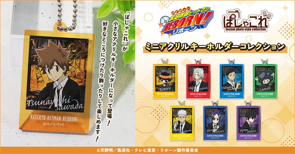 【執着溺愛イケメン×強気可愛い優等生】秘密の共有BL『放課後アシンメトリー』ラ・ロズレで先行配信＆全話試し読み増量フェア開催！