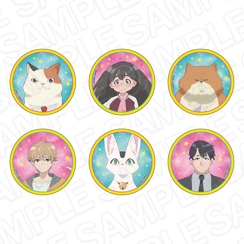 声優・今井麻美ベストアルバム第2弾！数々の名曲を詰め込んだ王道ベスト『A・S・A Vol.2』リリース決定！