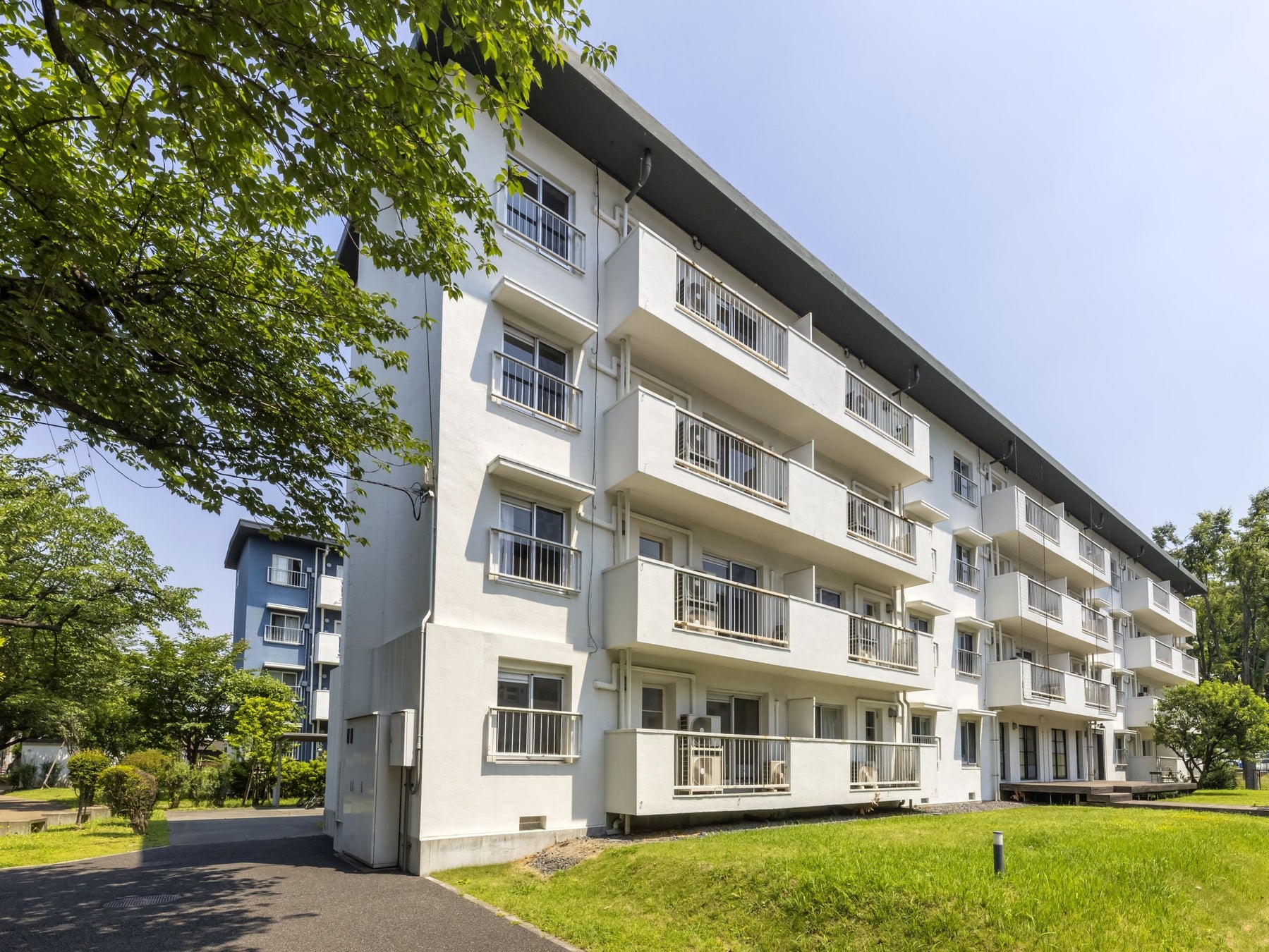 発売前からコミカライズ決定で話題！　凸凹バディが不審死の謎に挑む、中華検死ミステリー『芙蓉城の検屍官』11月6日発売