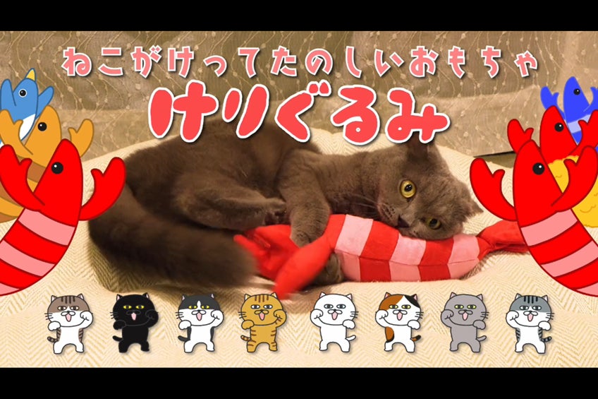 中毒性の高いBGMにあわせてかわいい猫のけりけり映像が流れる！ペティオのけりぐるみCMをDLEが制作しました