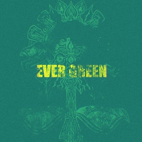 TOOBOEアルバム「EVER GREEN」リリース！ツアー”裏ファイナル”開催も決定！