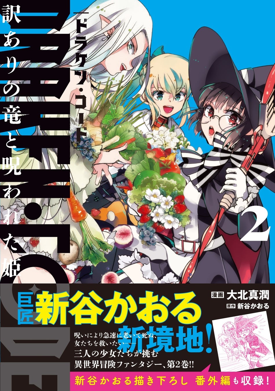 新谷かおる新境地！三人娘が異世界を行く冒険ファンタジー『DRAKEN・CODE　訳ありの竜と呪われた姫２』3月6日(金)発売／PASH! コミックス