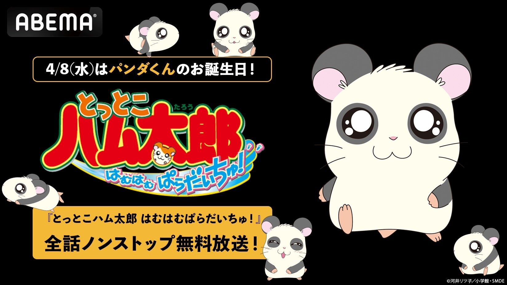 4月8日（水）は「ハムちゃんず」の“職人”パンダくんの誕生日！誕生日当日・朝6時30分より「ABEMA」で『とっとこハム太郎 はむはむぱらだいちゅ！』全話ノンストップ無料一挙放送が決定！