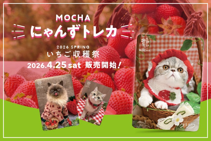 累計11万セット突破！猫カフェMOCHA「にゃんずトレカ」新作は”いちご収穫祭”。4月25日より全36店舗で販売開始
