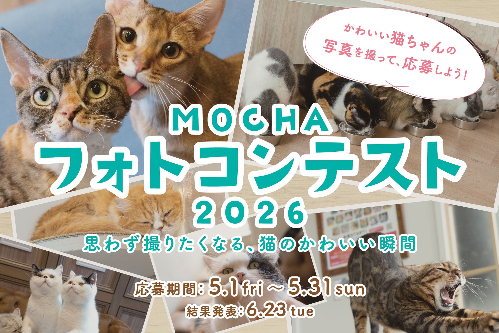 【猫カフェMOCHA】「MOCHAフォトコンテスト2026」開催決定！人気芸人のかが屋 加賀翔さん、ぱーてぃーちゃん 信子さんが特別審査員に就任