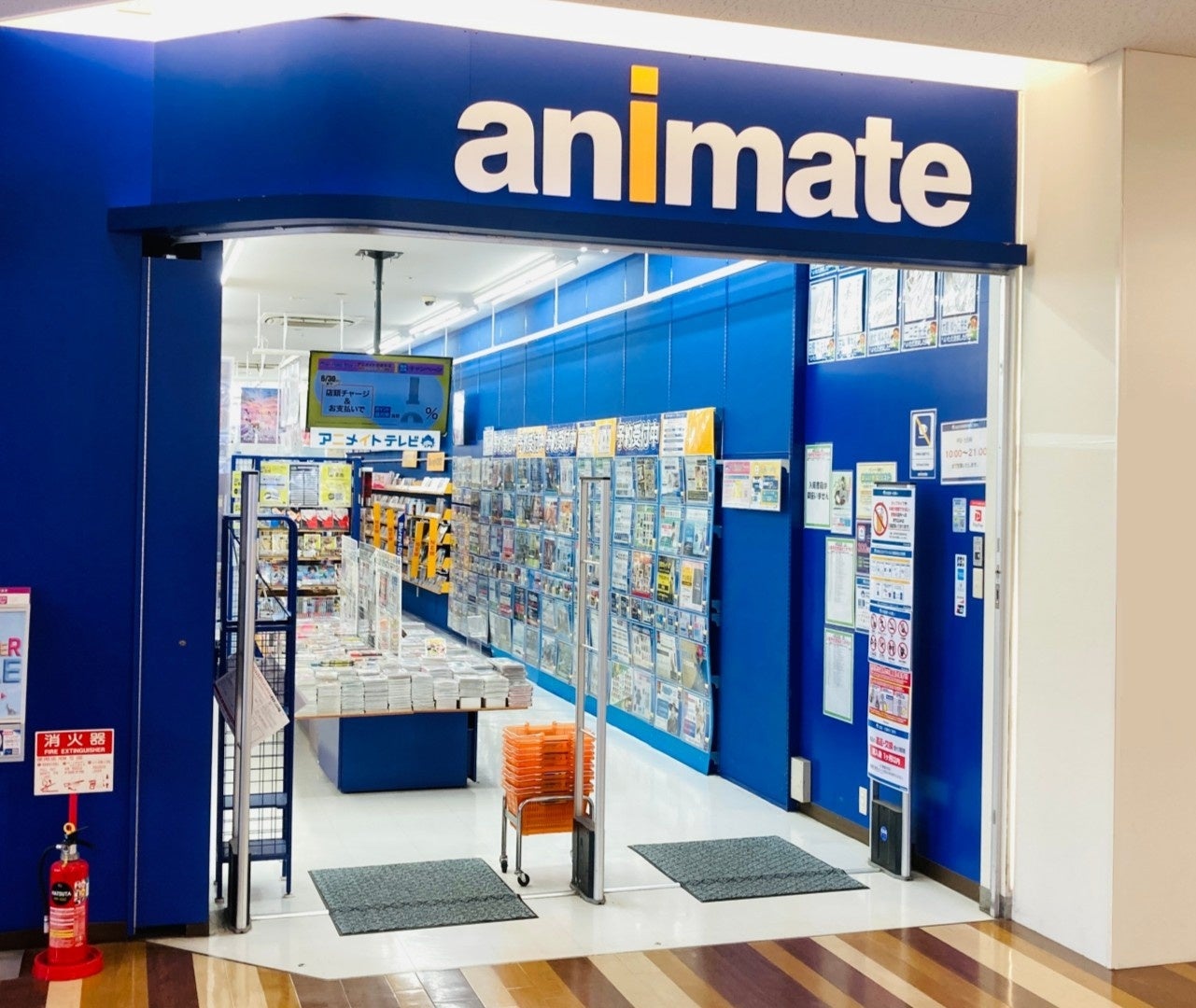 推し活×インテリア市場に新提案!LEDでデザインが輝く『LEDアートボード(キャンバスアート)』のOEMサービスを開始【株式会社ケイオー】